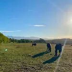 Confortable 4 Pers Avec Terrasse - Api-1-52-1139 Parque de Campismo Camon (Languedoc-Roussillon)