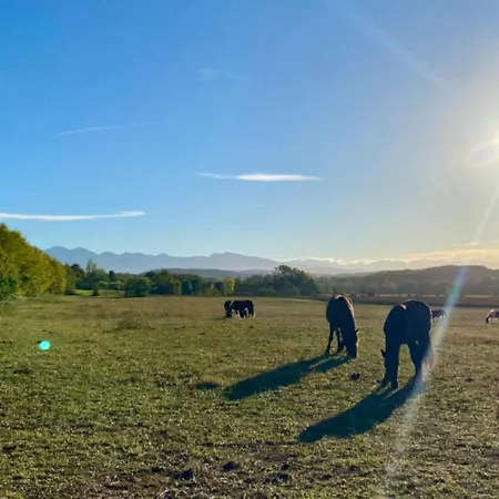 Confortable 4 Pers Avec Terrasse - Api-1-52-1139 אתר קמפינג Camon (Languedoc-Roussillon)