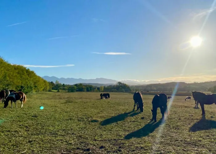 Confortable 4 Pers Avec Terrasse - Api-1-52-1139 Kamp alanı Camon (Languedoc-Roussillon)